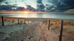 the beach